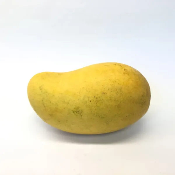 مانجو